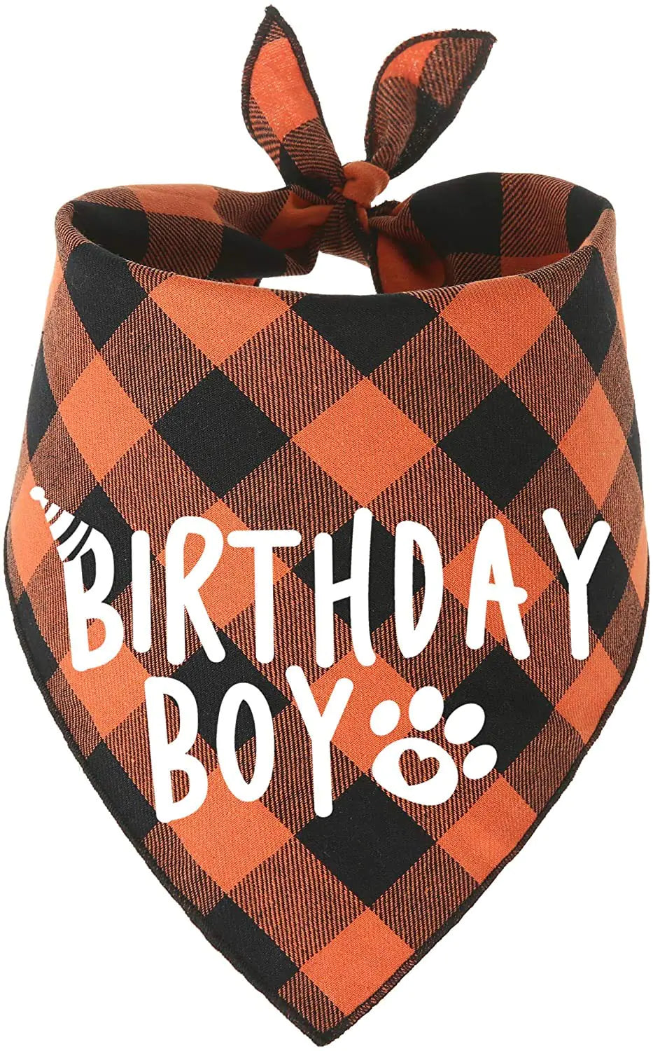 Boy Dog Birthday Bandana