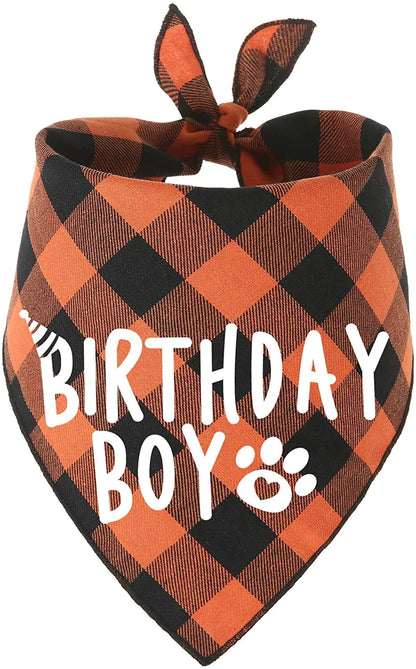 Boy Dog Birthday Bandana