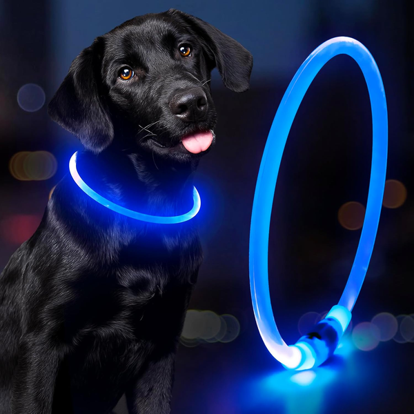 Light Up Dog Collar Waterproof LED Rechargeable TPU Cuttable Glow Safety Lights Night