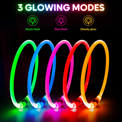 Light Up Dog Collar Waterproof LED Rechargeable TPU Cuttable Glow Safety Lights Night