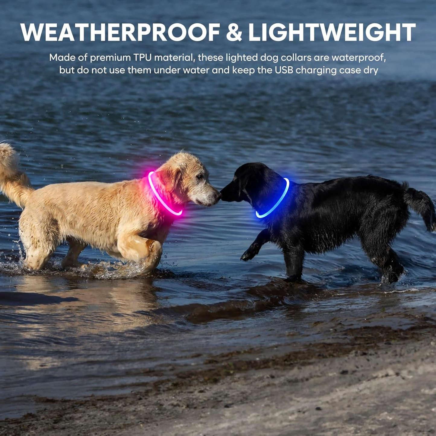 Light Up Dog Collar Waterproof LED Rechargeable TPU Cuttable Glow Safety Lights Night