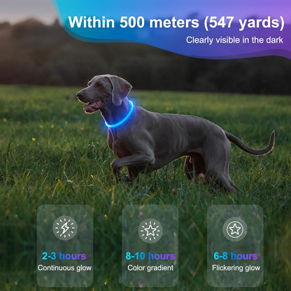 Light Up Dog Collar Waterproof LED Rechargeable TPU Cuttable Glow Safety Lights Night