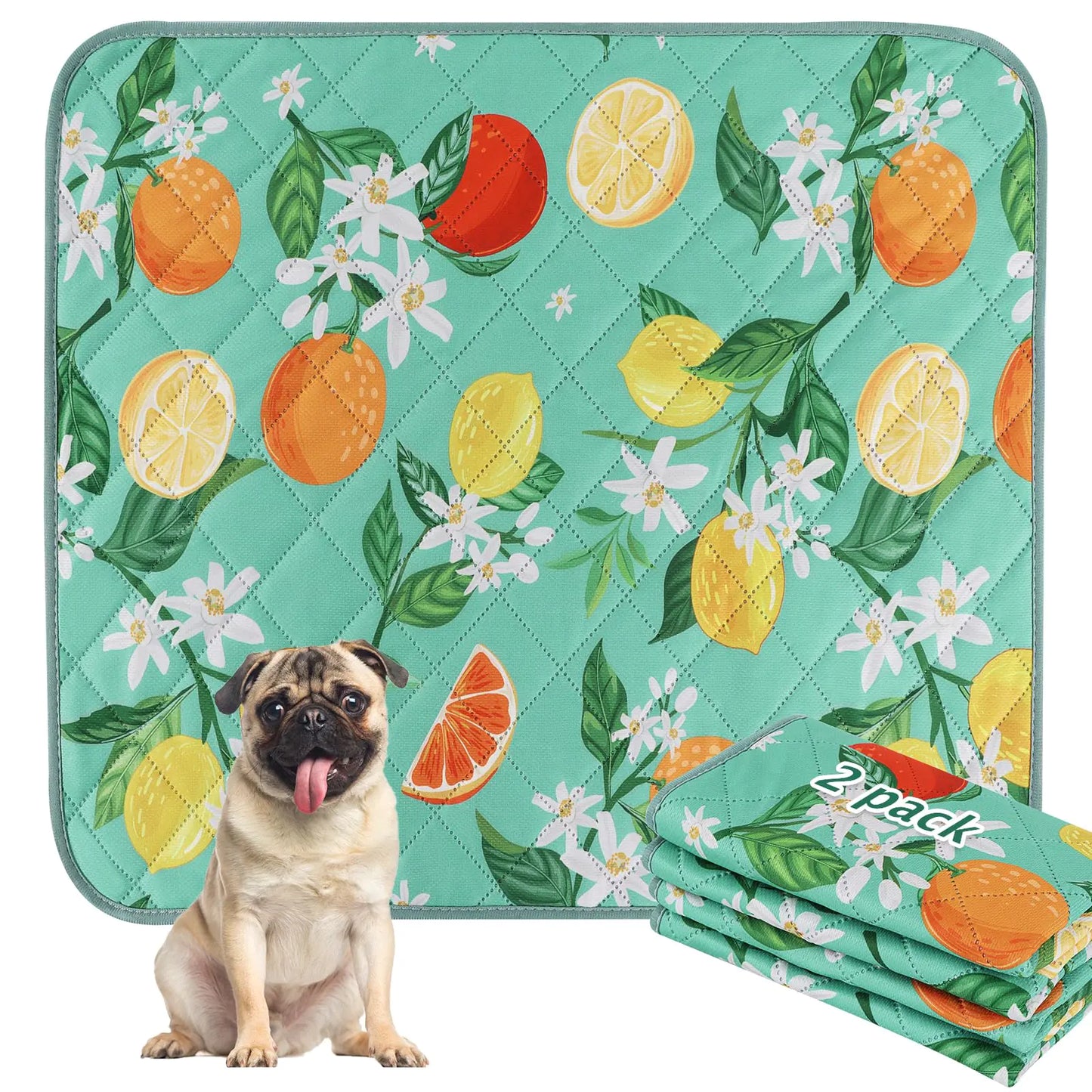 BVAGSS Washable Pee Pads for Dogs 2 Pack Reusable Leakproof Puppy Wee Wee Pad Non-Slip Waterproof Pet Training Pads Super Absorbent Whelping Pads XH081 (Green Lemon 30X20 Inch (Pack of 2))
