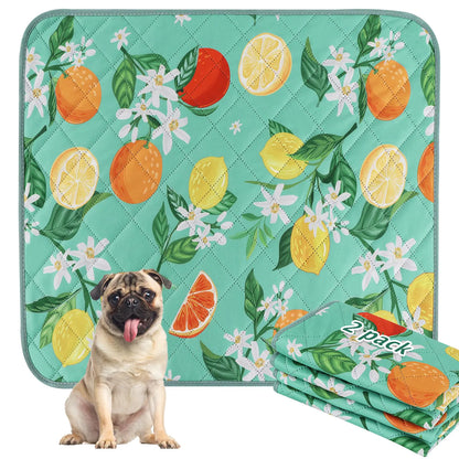 BVAGSS Washable Pee Pads for Dogs 2 Pack Reusable Leakproof Puppy Wee Wee Pad Non-Slip Waterproof Pet Training Pads Super Absorbent Whelping Pads XH081 (Green Lemon 30X20 Inch (Pack of 2))